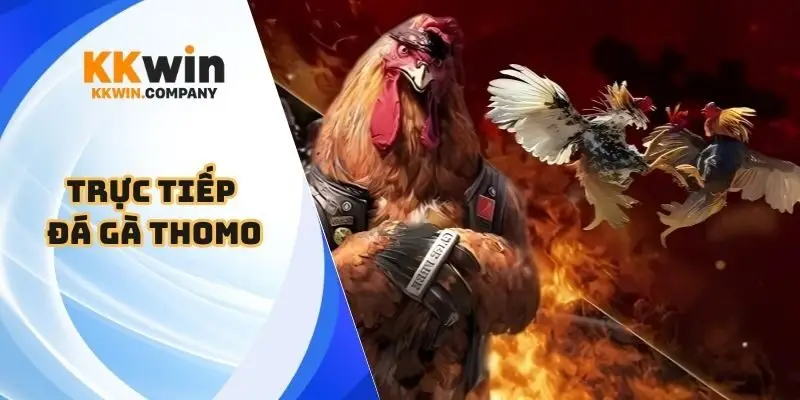 Trực tiếp đá gà Thomo