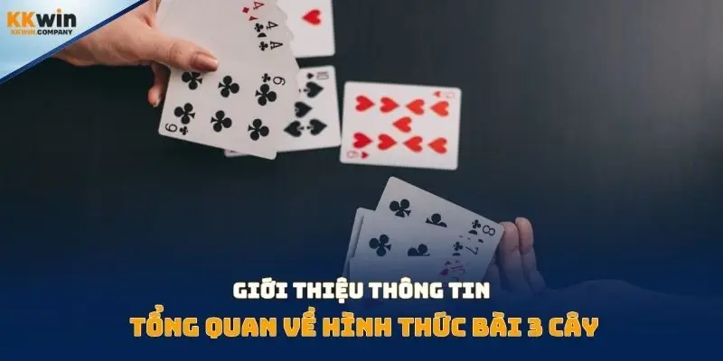 Giới thiệu thông tin tổng quan về hình thức bài 3 cây