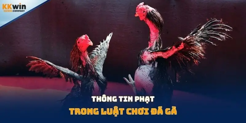Thông tin phạt trong luật chơi đá gà
