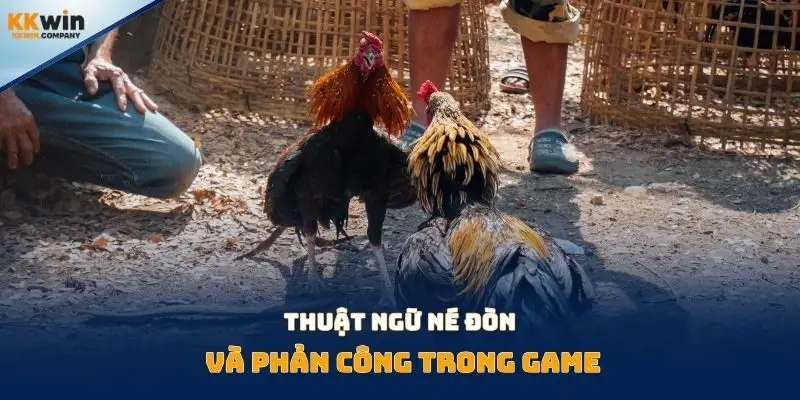 Thuật ngữ né đòn và phản công trong game