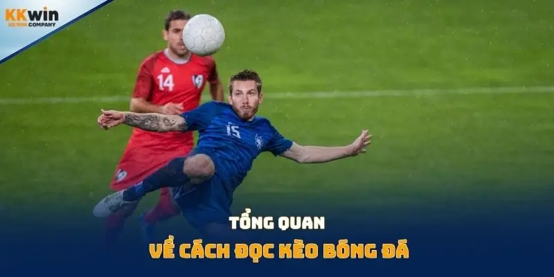 Tổng quan về cách đọc kèo bóng đá